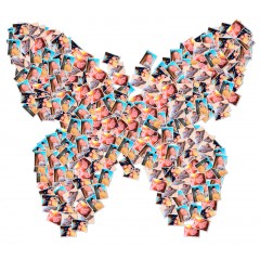 Butterfly' Photo Collage
